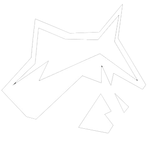 Mapache Hosting Logo